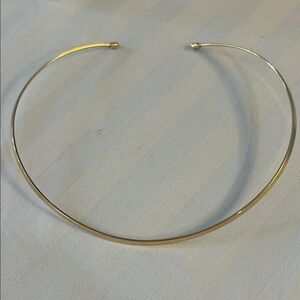 Lia Sophia Sleek Silver Necklace